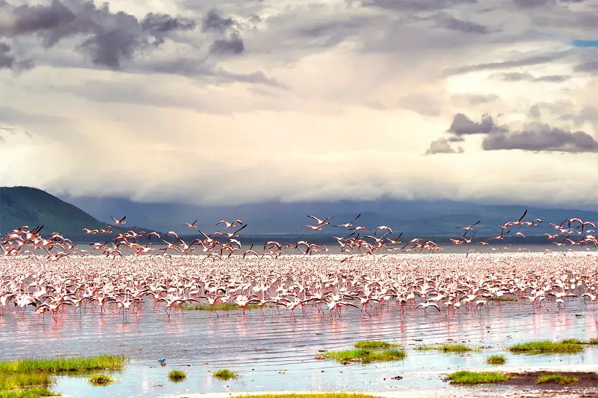 Best-time-to-visit-Lake-Nakuru (1)